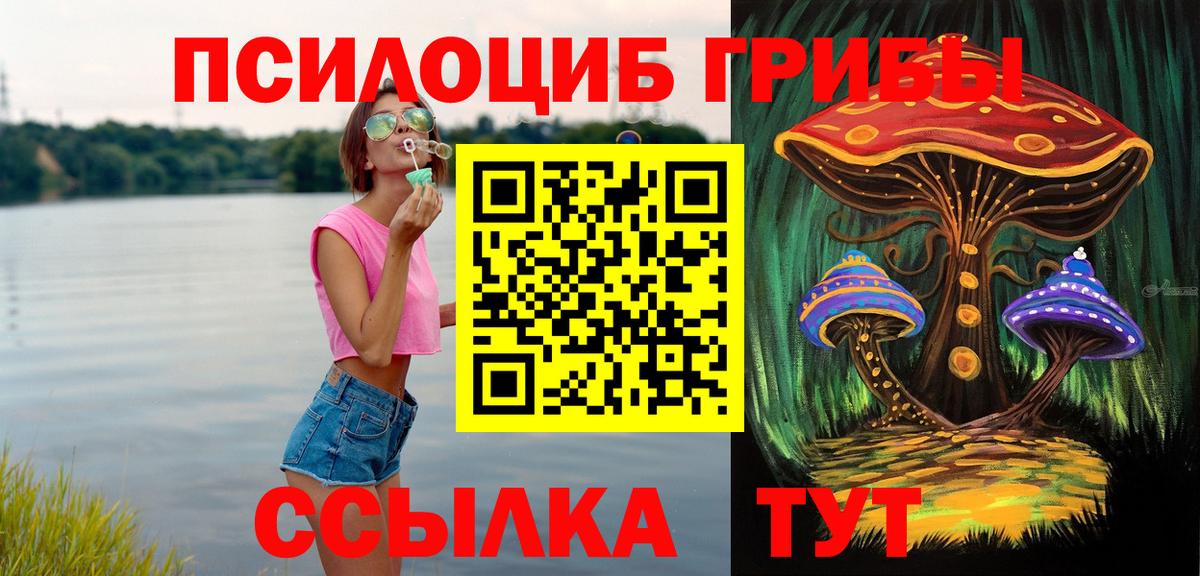 Новокубанск  Псилоцибиновые грибы мухоморы  Вход с VPN 
